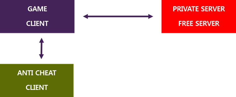 그림 5 논클라이언트/바이패스와 사설 서버가 결합한 구조