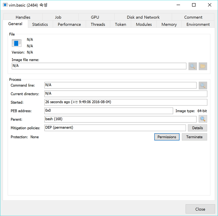 Figure 2. 실행된 vim.basic의 기본 정보